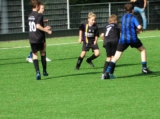 S.K.N.W.K. JO12-1 - SJO B.D.C. JO12-3 (beker) 2024-2025 (1e fase) (80/100)